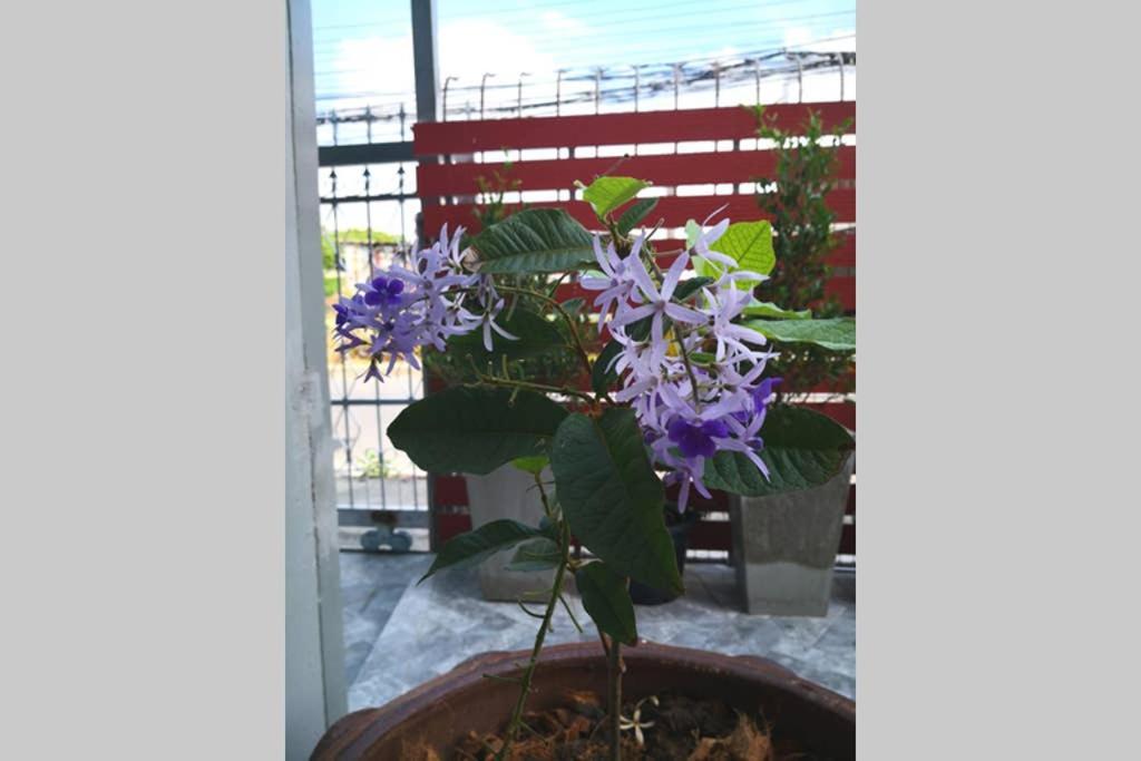 Bluebell House Hatyai - Cosy 3 Bedrooms For 10 Pax - 9 Mins Drive To Lee Grd Ban Kho Hong Extérieur photo